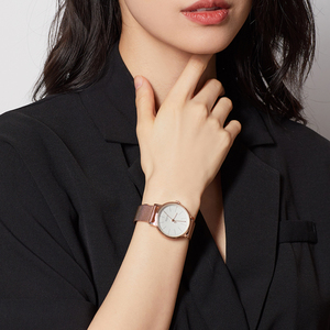 dw手表专柜品牌