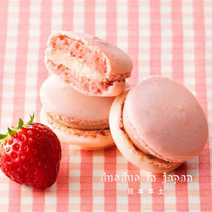 日本 royce樱花季限定新品 草莓巧克力马卡龙 3枚入/6枚入