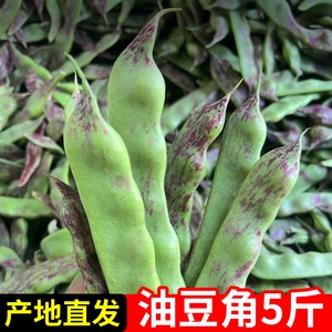 当季东北油豆角现摘新鲜蔬菜5斤一点红无筋宽豆九月青黑龙江油豆