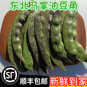 东北豆角马掌新鲜菜蔬菜农家花道油豆角特产现摘5斤