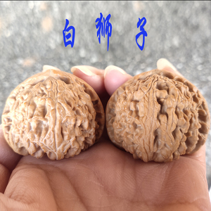 文玩核桃白狮子头纹路粗壮矮桩易上色浅纹理核桃新手推荐