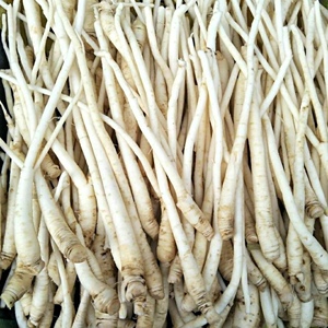 云南野生蔬菜 新鲜茴香根 煮汤炖排骨 软糯老品种500克