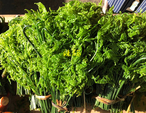 云南德宏新鲜蔬菜山菜 水蕨菜 新鲜水节菜炒豆豉500克