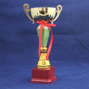 热卖630c金属奖杯大中小 体育项目 奖状 奖牌 年终奖 颁奖用品