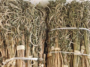 河北农家自种炖酸菜炖鱼干香草凉皮调料香苜蓿香料卤肉蒸肉食用
