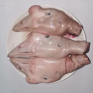 80浅湛朱颜醉梦洛