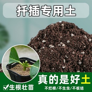 扦插专用土营养土养花通用型土壤育苗专用营养土养花泥土种植土壤