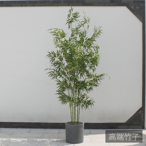 仿真竹子植物假金丝四季紫竹树装饰加密造景绿植客厅橱窗屏风装饰