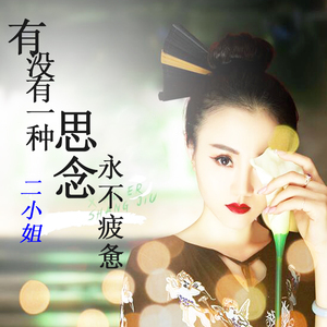 车用cd碟片二小姐cd酒梦(丁丁)闽南热门流行车载cd无损音乐光盘