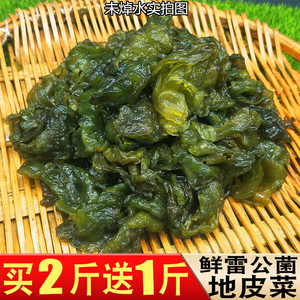 【现货】地皮菜新鲜雷公菌地软500g达耳地皮菇野生蔬菜非干货免洗