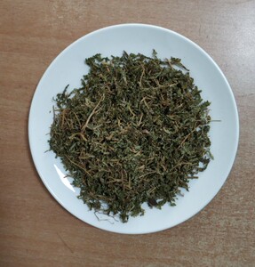 地柏 百叶草岩柏草石上柏 岩柏枝安国中药保健堂8.