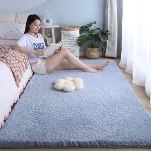 羊羔绒加厚地毯卧室坐垫ins风女孩房间床前垫子出租屋改造地垫