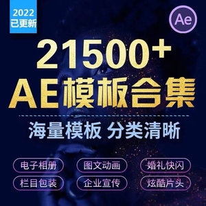 2023AE模版合集VideoHive开场片头快闪婚礼企业宣传相册视频素材