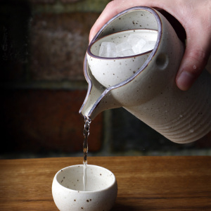 美浓烧日本进口清酒冷酒器白酒红酒酒壶酒杯酒具一壶2杯套装礼盒