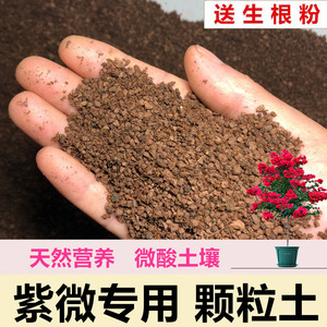 紫微土专用土营养土酸性土红土风化土赤玉土盆景土种桩配方种植土