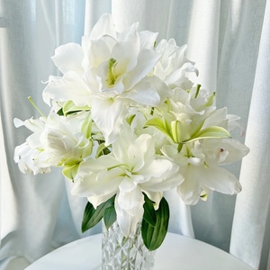 百合花鲜花家用