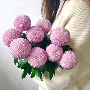 lovetime旗舰店天猫全国兔年乒乓菊创意小羊兔子花束