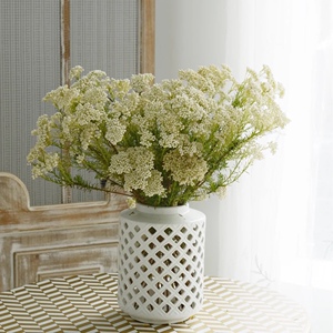 米花鲜花速递白色粉色可做干花江浙沪皖两扎包邮上海同城家用