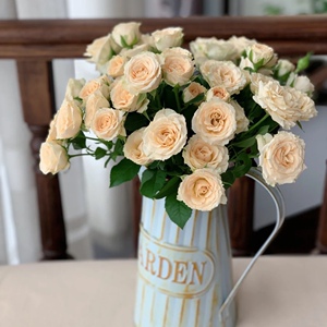 和风香槟色多头小玫瑰鲜花速递江浙沪皖两扎包邮上海同城10枝扎