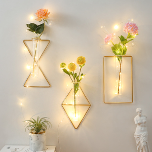 墙上装饰挂件玄关卧室餐厅墙面墙壁壁挂装修饰品创意水培植物挂饰