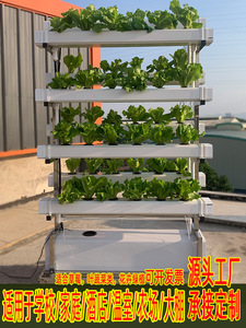 NFT无土栽培蔬菜草莓种植双面垂直架水培设备阳台水耕多层种菜机