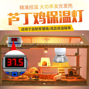 芦丁鸡育雏器育雏伞小鸡保温箱电热伞控温保温伞恒温器养鸡6人付款