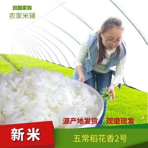 2022年 东北黑龙江五常鸭田稻花香新大米农家自产非转基因5kg粳米