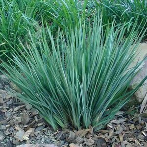 900人付款天猫利尔康乳酸依沙吖啶清洗液利凡诺粉溶液黄药水雷夫诺尔