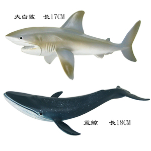仿真海洋动物海底生物恐龙模型儿童玩具大白鲨鲨鱼虎鲸海豚抹香鲸
