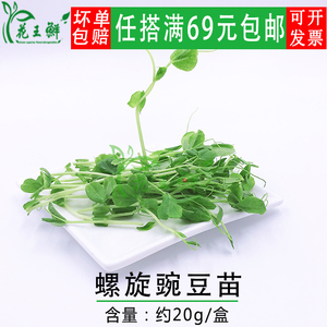新鲜 盒装 蔓豆苗 豌豆苗 酒店西餐冷菜装饰