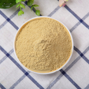 冬瓜子粉500g克正品特级中药材白瓜子生冬瓜子现磨带壳冬瓜籽粉