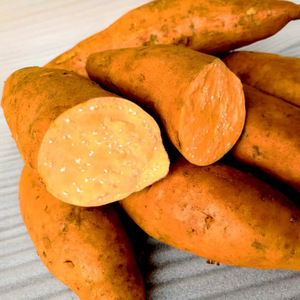 贵州黄皮红薯5斤红心番薯蜜薯新鲜甜薯特产地瓜初荷农庄直销蔬菜