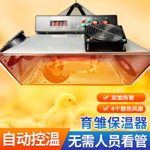育雏保温器伞全自动养殖加热设备雏鸡苗保温电热伞鸡舍鸭舍取暖器