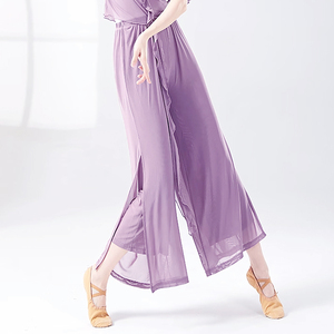古典舞服女紫色网纱飘逸宽松舞蹈裤中国现代舞演出考级形体练功裤