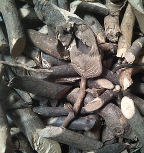 中药材小搜山虎 搜山虎非三分三 500克20元