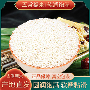 东北五常圆糯米新米黑龙江粘大米酿酒包粽子黏米白糯米江米5斤