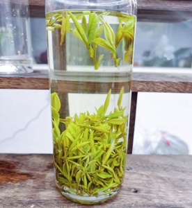 2022新茶扬州特产绿茶绿杨春明前特级a5捺山绿杨春茶农直销