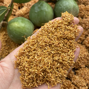 野生薜荔果新鲜野果木馒头木莲果冰粉籽中药材王不留行凉粉果包邮