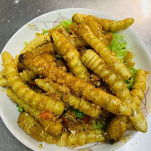 正宗野生木虫柞木虫新鲜冷冻哈虫木花蛤虫高蛋白食用虫子