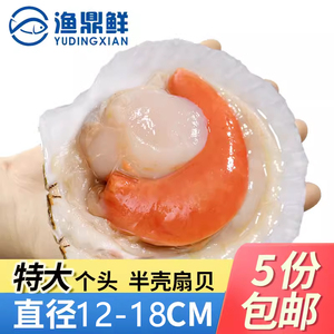 大连扇贝王半壳虾夷大扇贝12-18CM/个装鲜冷冻大大大就是大