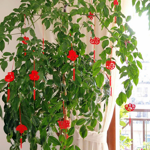 乔迁之喜装饰小红灯笼盆景挂饰室内外布置开业店庆福字树上挂件