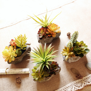 花盆肉肉小盆栽仿石头多肉植物组合花卉花草绿植盆景室内创意装饰