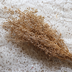 永生花小米果小米果叶配材手工制作diy插花装饰送人礼物干花道具