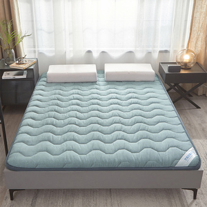 皇朝家私床垫植物绒竹炭宽边加厚床垫子防滑循环透气软垫