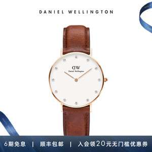 dw满天星手表女