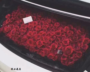 宁波鲜花玫瑰汽车后备箱求婚表白生日 深北花房
