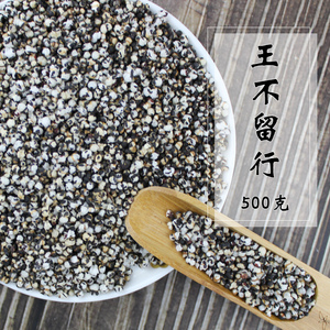 王不留行籽中药