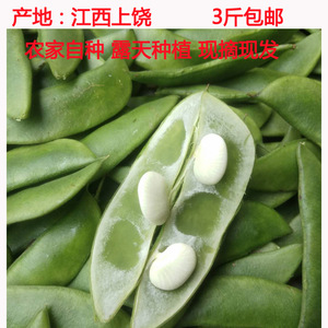 新鲜白玉豆农家蔬菜江西特产三清白扁豆白芸豆3斤包邮产地直销