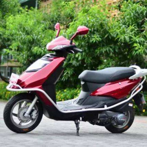 力帆 lf125t-b 花语系列 踏板精典125cc助力车摩托车