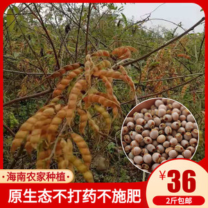 海南木豆2斤东方天安乡特产木豆子纯天然农家原生态种植食用树豆